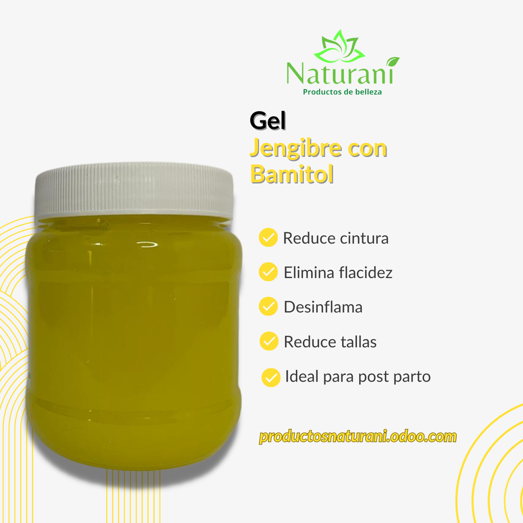 GEL DE JENGIBRE CON BAMITOL 250 G